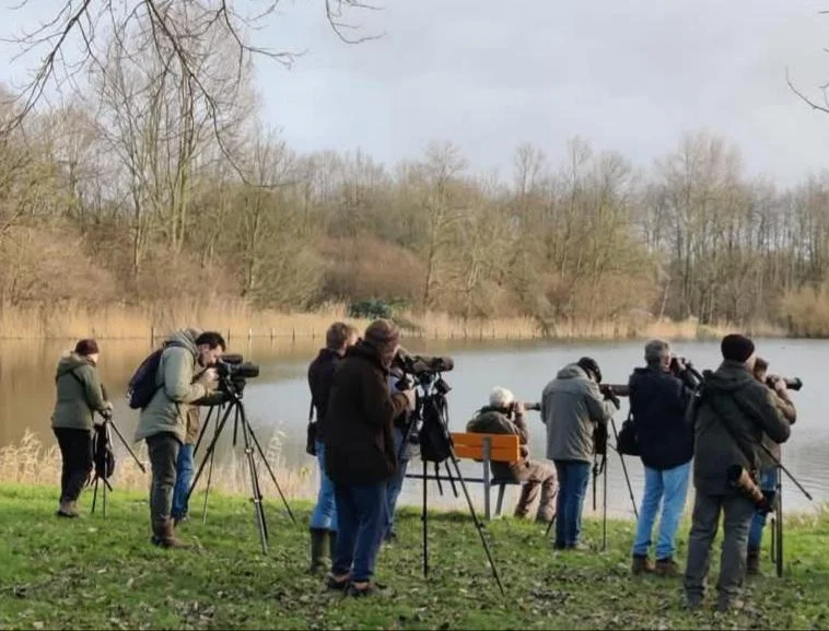 OCHTENDWANDELING SCHULENSMEER EN SCHULENSBROEK