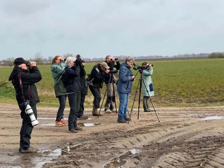 TREKTELLEN BEZINKINGSPUTTEN TIENEN