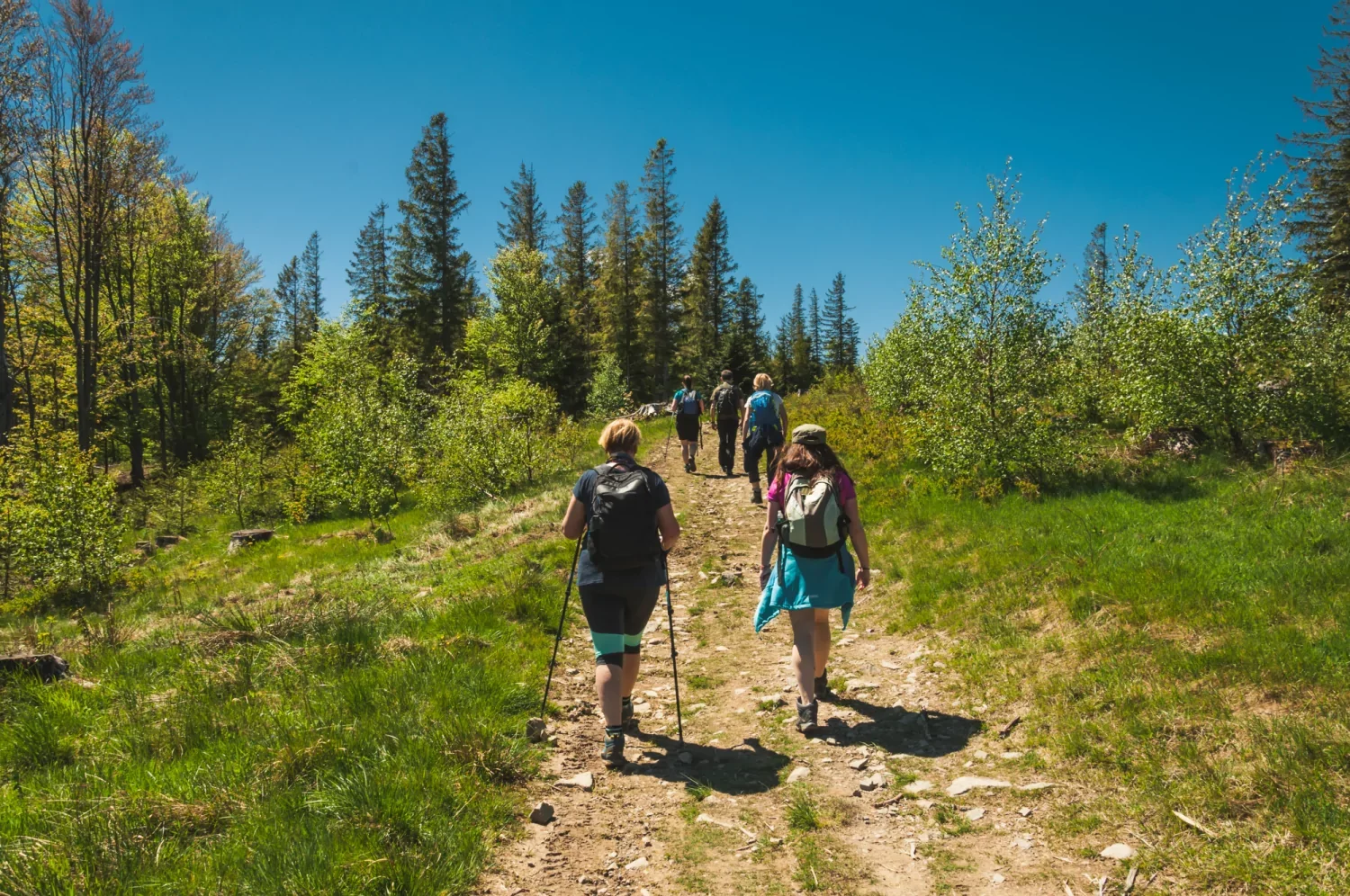 1e Grote Breugel Wandeltocht