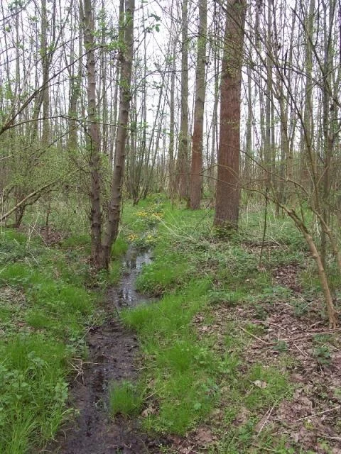 Natuurverhalenwandeling in Wijgmaalbroek