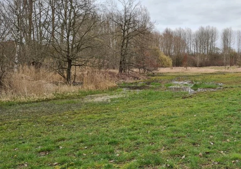 Natuurverhalenwandeling in Wijgmaalbroek