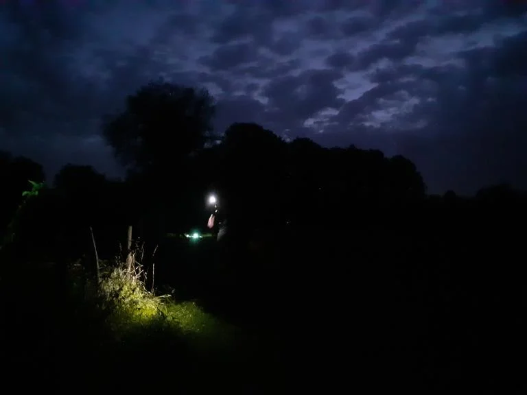 Vleermuizenwandeling - Nacht van de duisternis