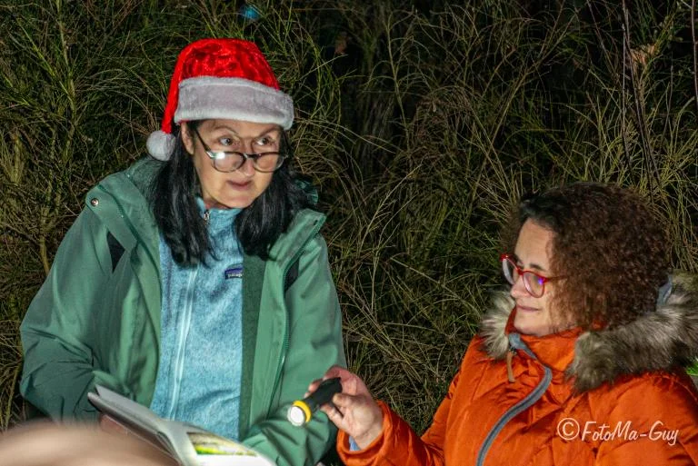 Warme Winteravond | Het Verhaal van de Wintergeest en de Zoektocht naar het Verloren Licht