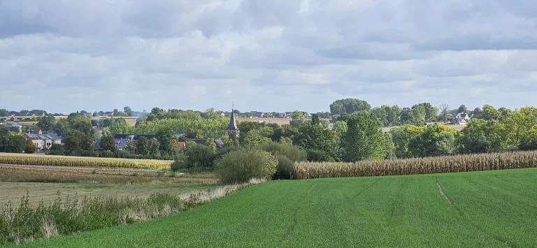 Landschapswandeling in de Vlaamse Ardennen