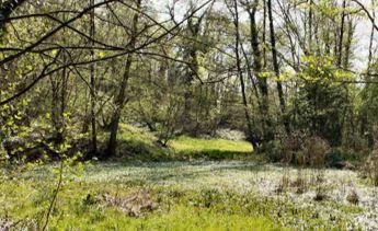 Herfstwandeling in de Wolfsputten