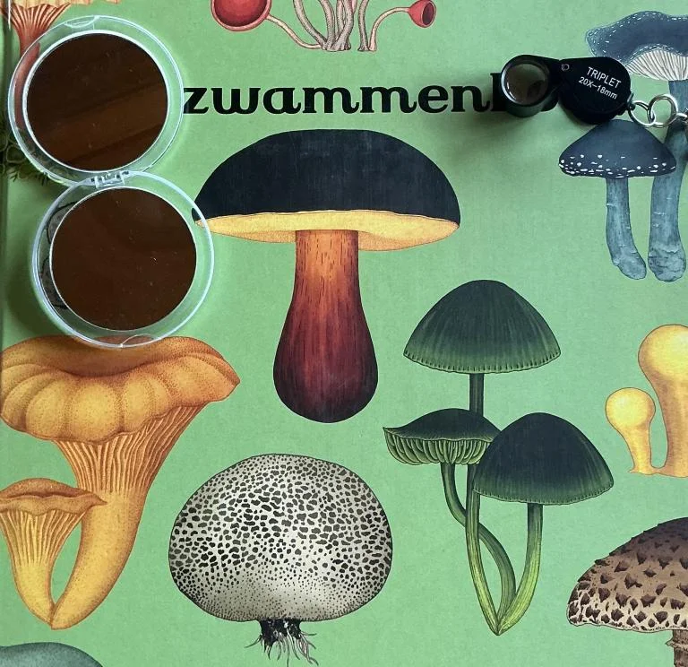 Op Paddenstoelen jacht in het bos, een wandeling voor het hele gezin