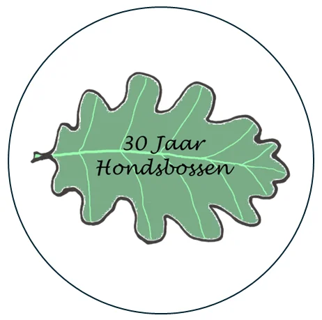 Bomen en hun geheimen