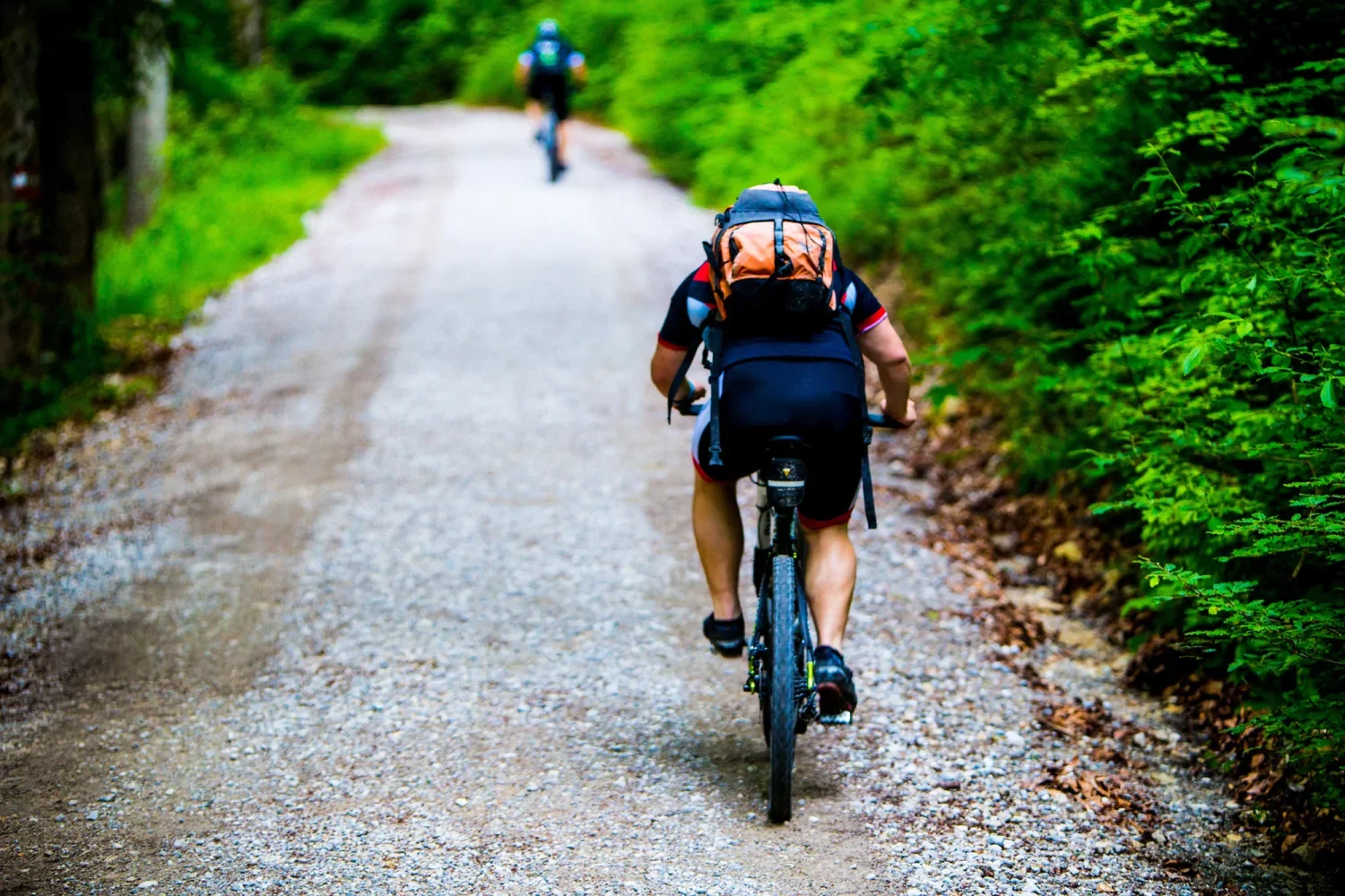 31ste BOSSEN VAN VLAANDEREN VBR