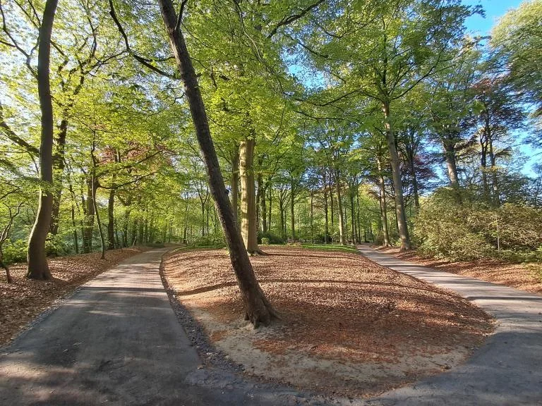 Merkwaardige bomen, kasteelpark Blauwe Toren te Varsenare