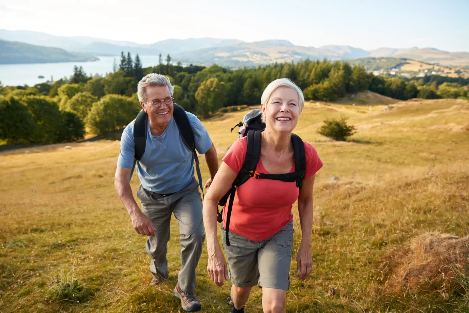 33e Horizontocht