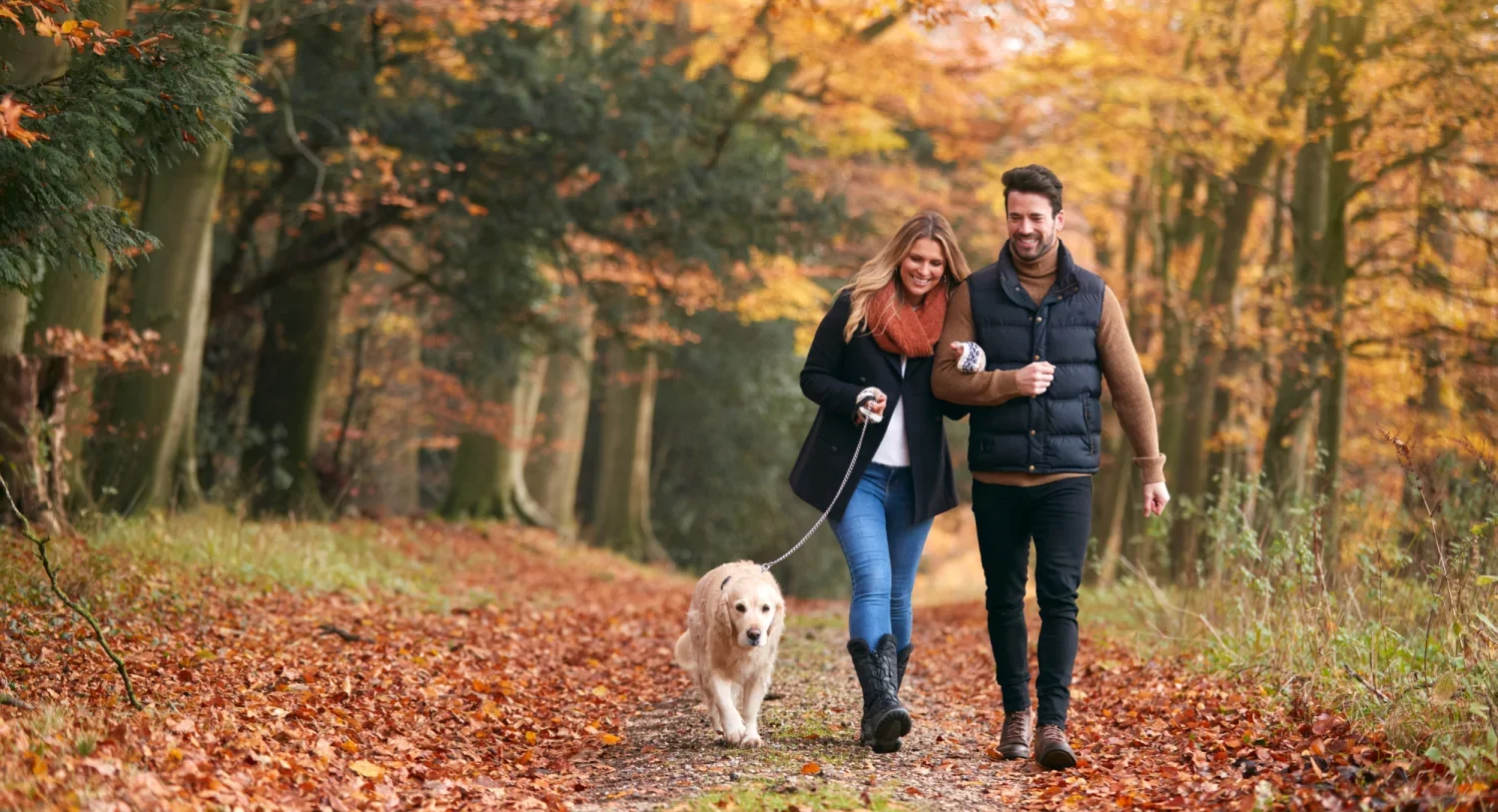 34e Tweedaagse Herfstwandelingen