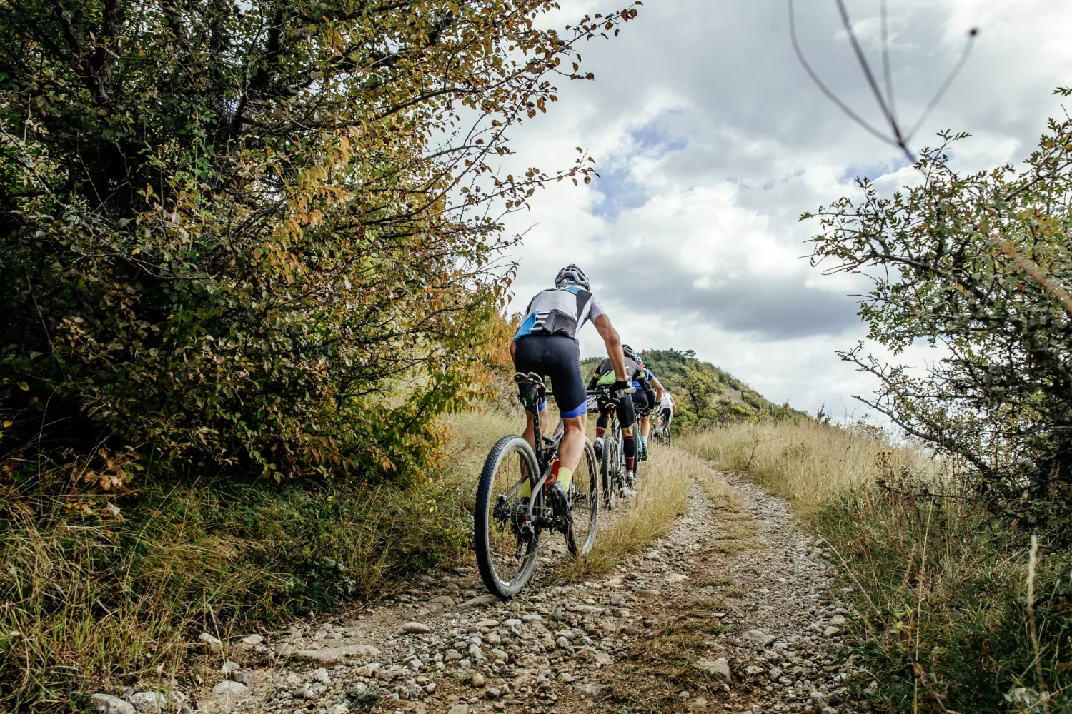 34STE NIEUWJAARS VELDTOERTOCHT VBR