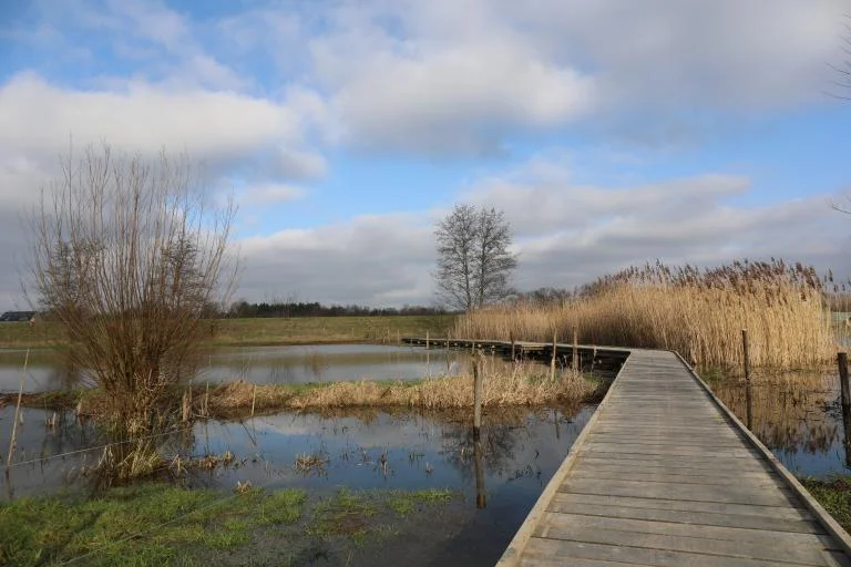 Uitwaaien in de Barebeekvallei