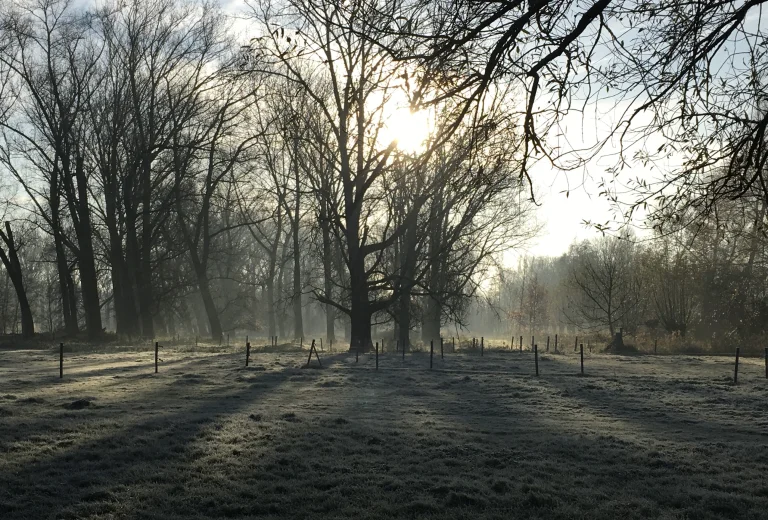 WINTERREISE een winterwandeling in de Damvallei