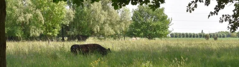 Herfstwandeling Boechout-Vremde