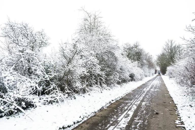 Winterse landschapswandeling