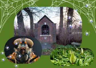 Natuur(lijk) griezelen !!!