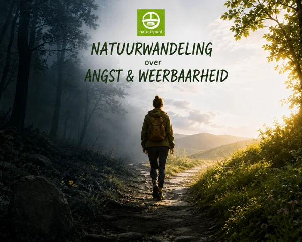 Wandeling over angst en weerbaarheid in Natuurdomein Bergelen