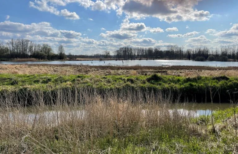 Verkenningswandeling Aronst Hoek