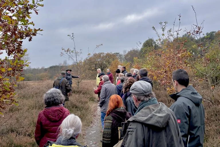 Herfst in Hoombos: ontdek jong bos vol leven