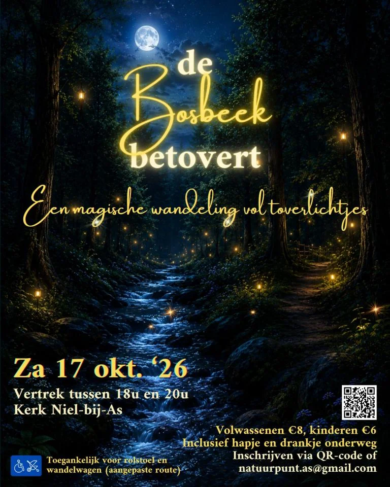 De Bosbeek Betovert