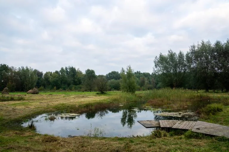 Maandwandeling in de Bourgoyen-Ossemeersen