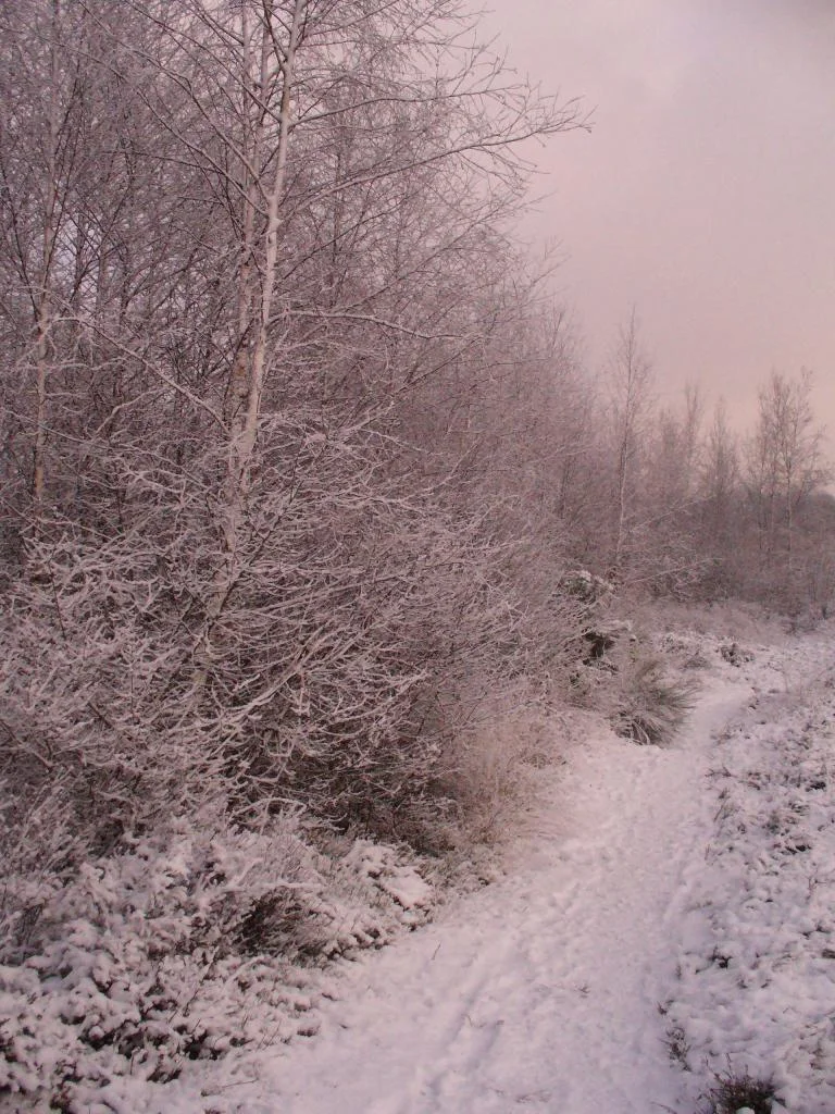 Sporen in de sneeuw - Natuurwandeling in de Maten