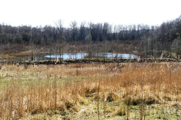 Wandeling Steendorp langs het Schausselbroek