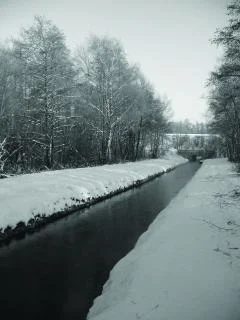 Winterwandeling doorheen de Stiemerbeekvallei
