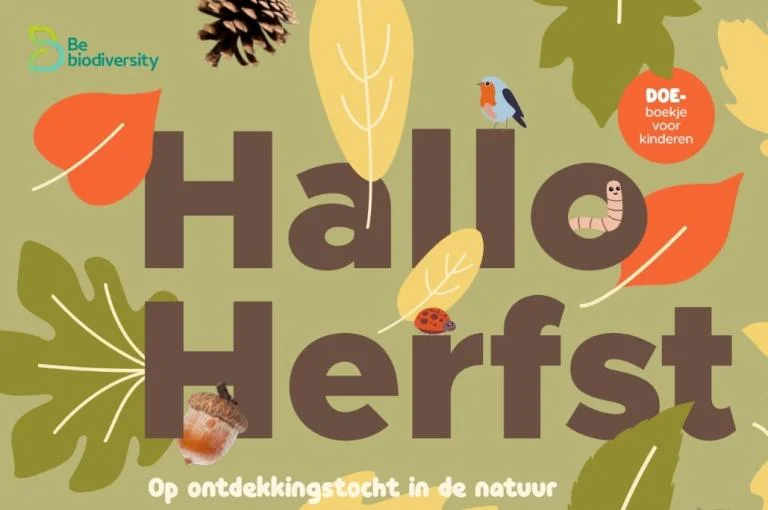 Gratis VMPA-wandeling in 's Gravenwezel Najaarswandeling