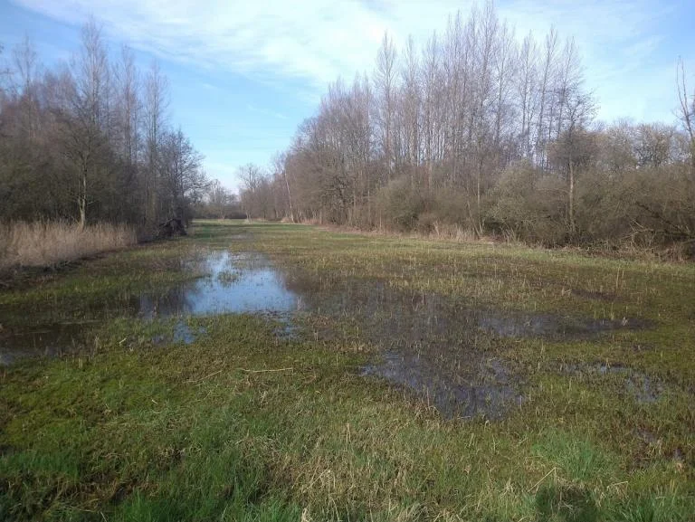 EERST WATER