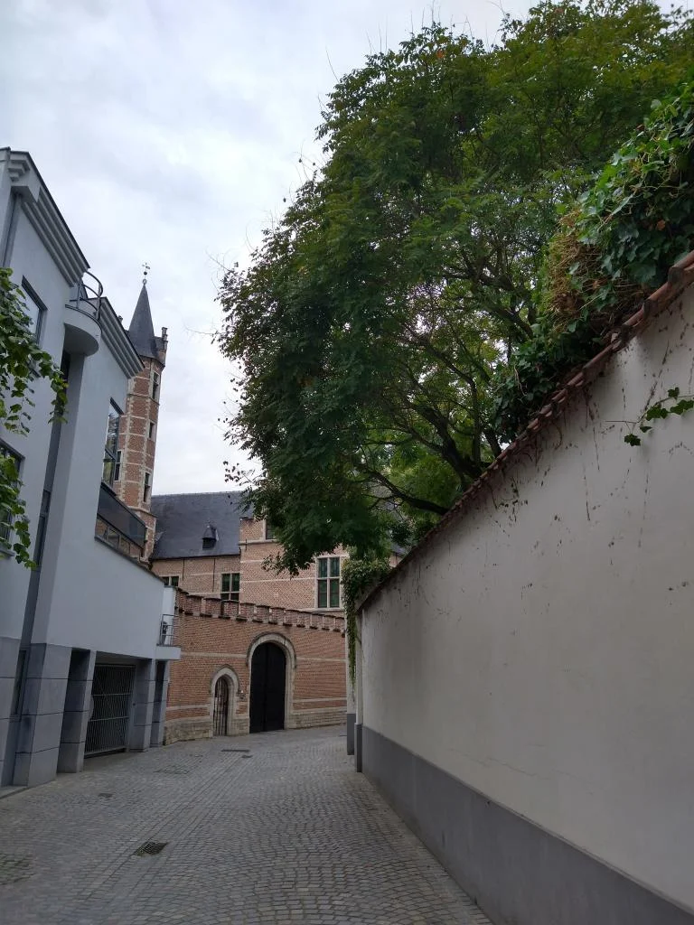 Natuur in de stad : Bomenwandeling