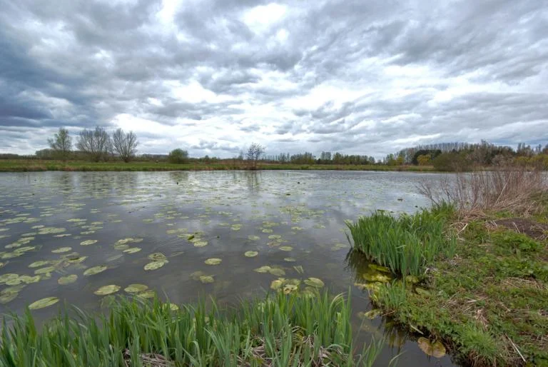 Doordeweekse wandeling in de Kalkense Meersen