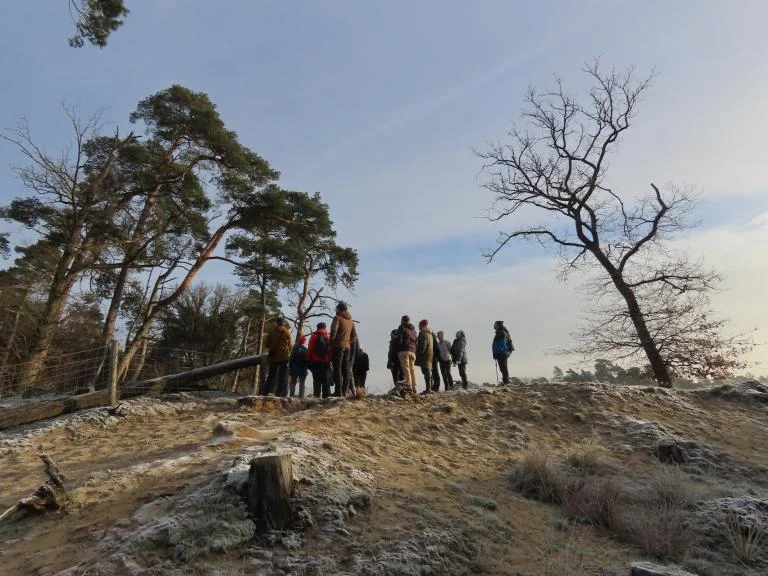 Beheerwerken doorgelicht in de Nolse Duinen