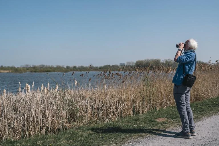 Spot de wintervogels van de Wellemeersen