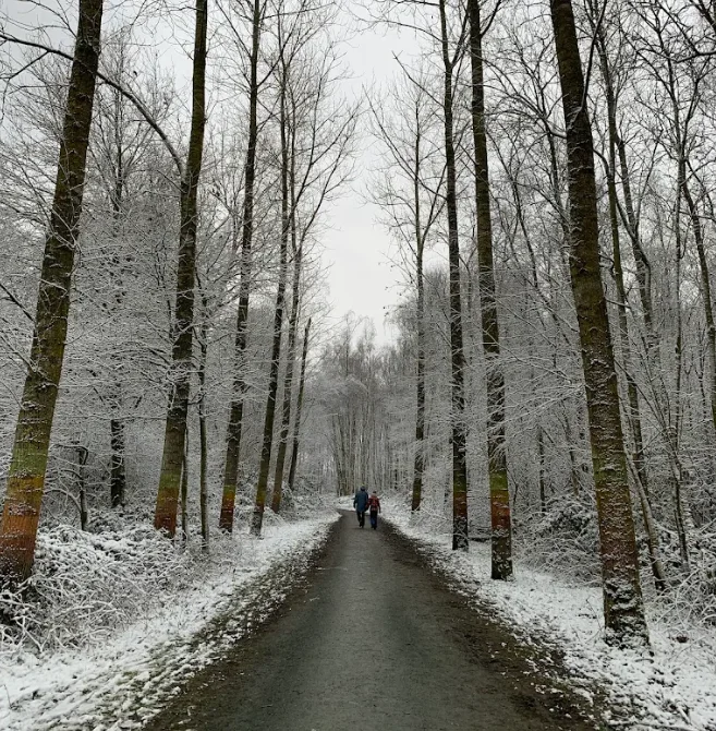Winterwandeling in het Parkbos