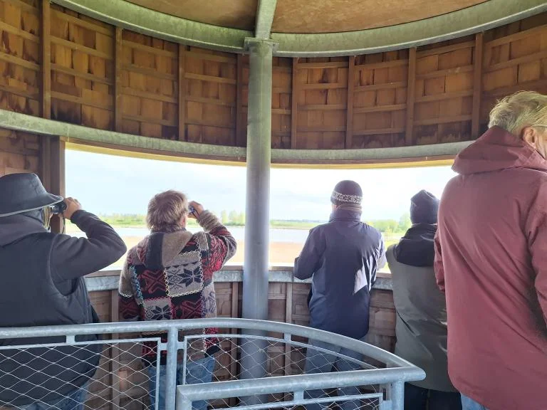 Vogeluitstap: van Stuivekenskerke tot de Blankaart