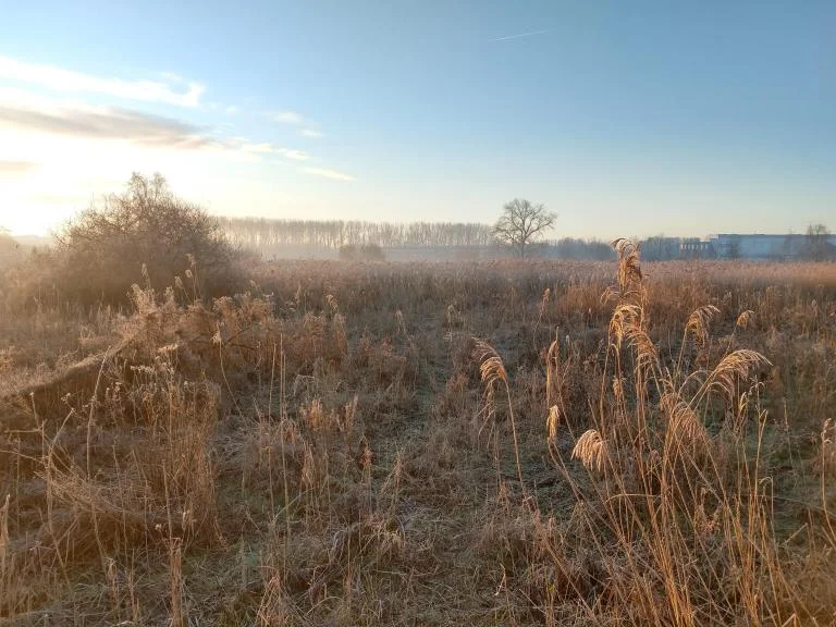 Wandelen en werken in de Malemmeersen