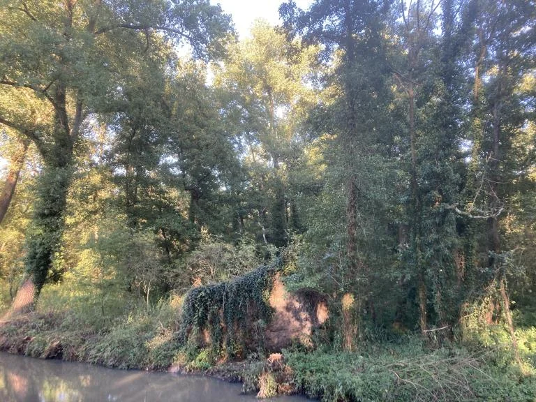 Boswandeling in de Rosdambeekvallei
