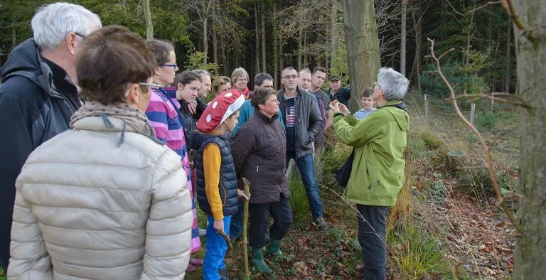 De heiligen in bos en heide: paddenstoelen