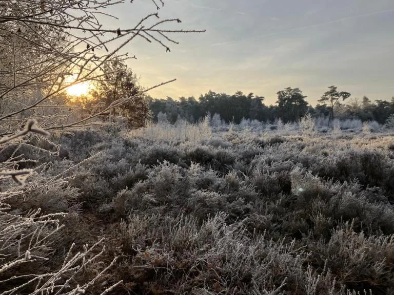 Winterwandeling