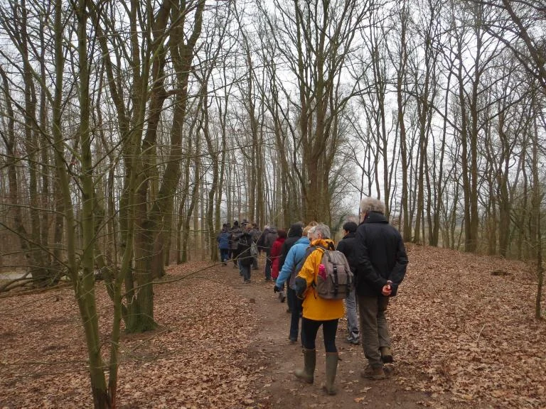 Winterwandeling 'natuur in rust'