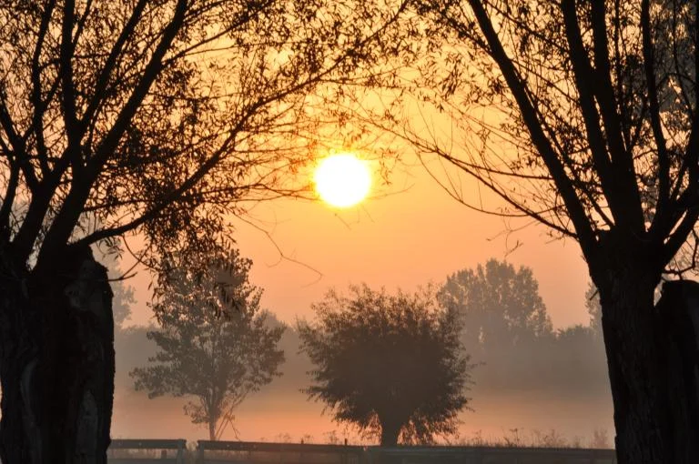 Nachtleven in de natuur