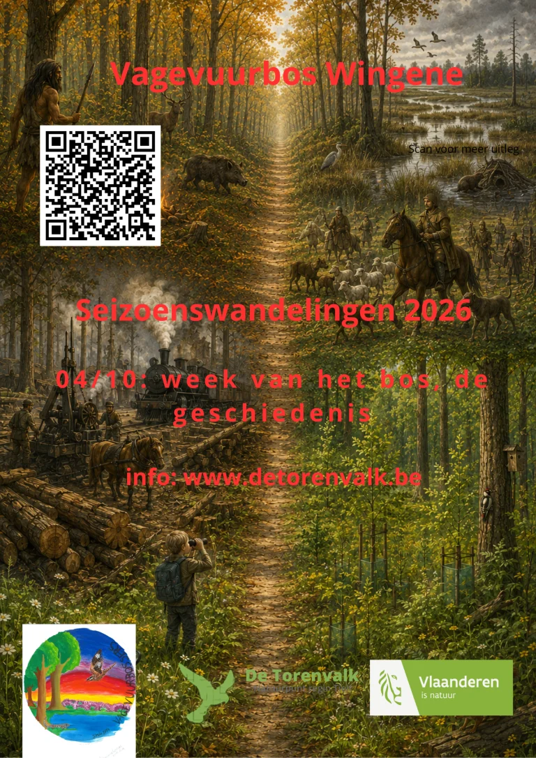 Herfstwandeling 'Week van het Bos' in Vagevuurbos