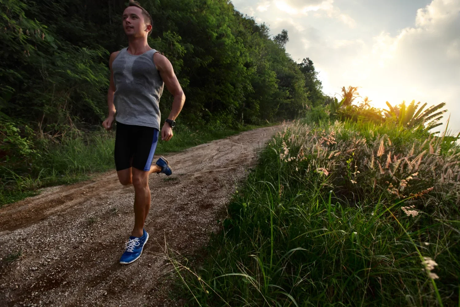 De Boever Trail D'Alost
