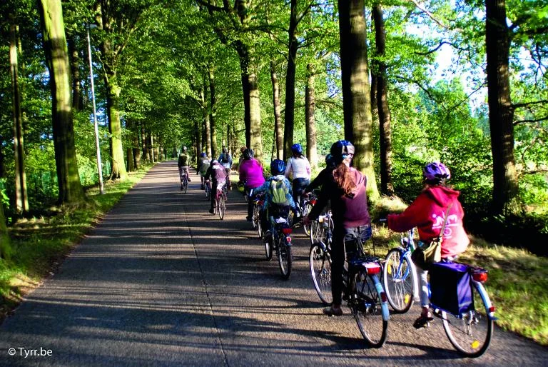 Bomenfietstocht in Bonheiden Rijmenam