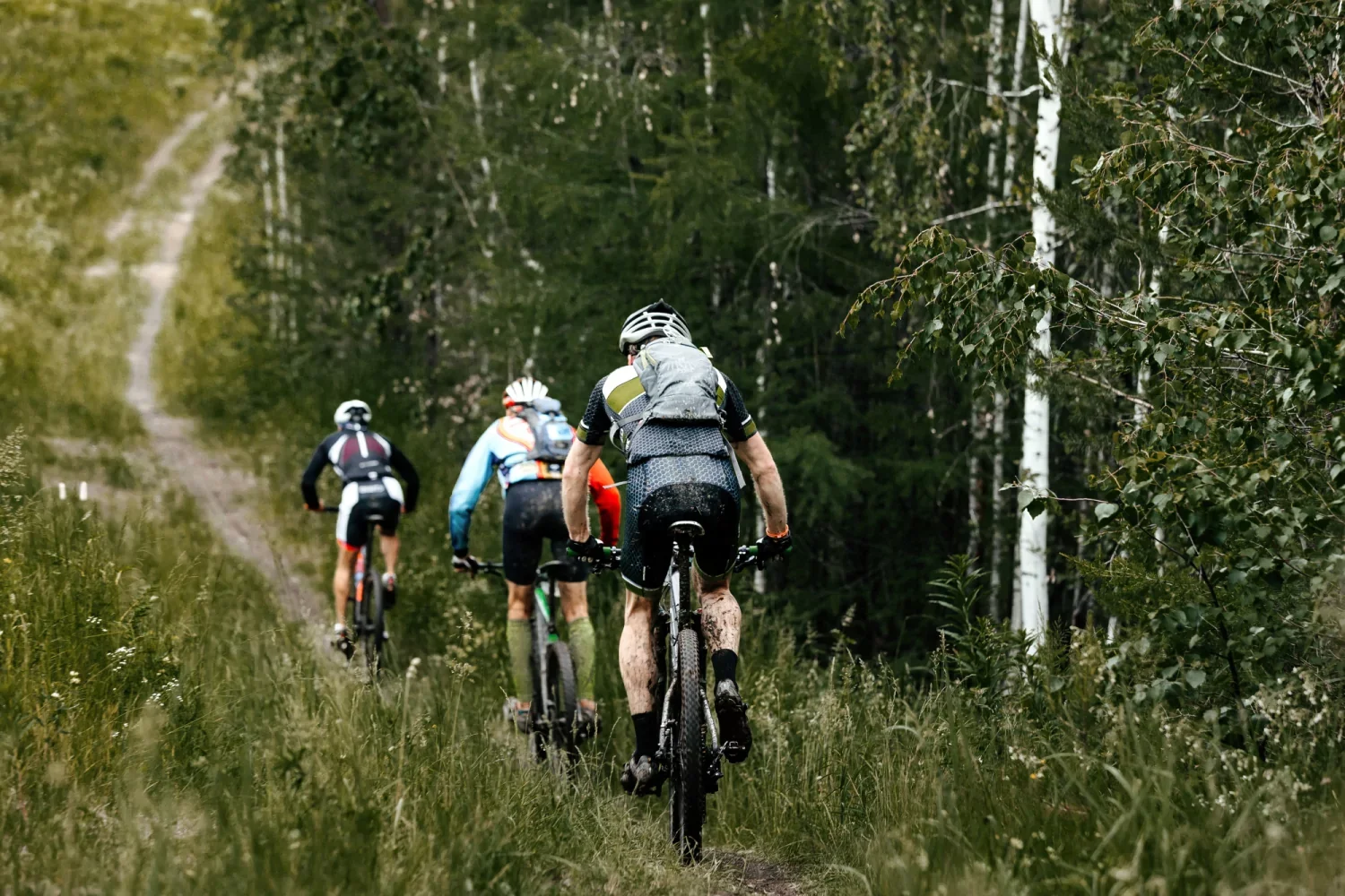 FINGO CLASSIC GRAVEL VWB
