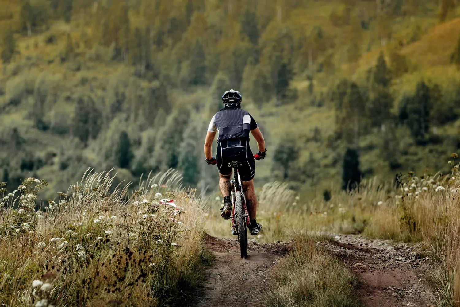Gravelride Alertbikers VWB