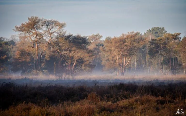Van zonevreemd vliegveld naar heidegebied