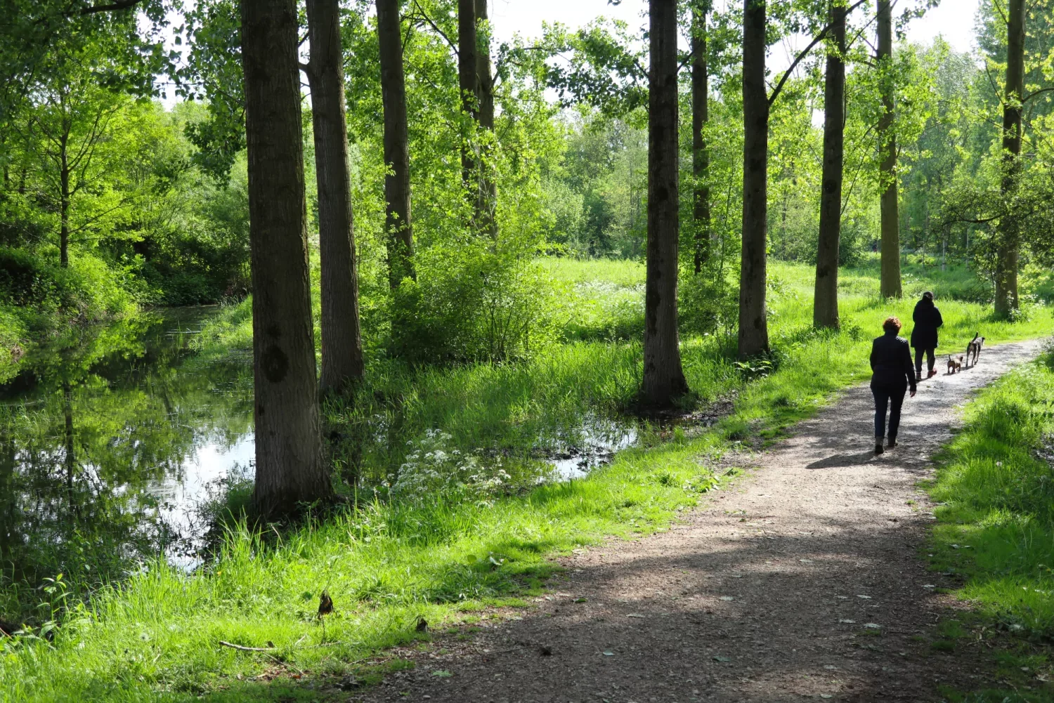 Het Swinnetou Spoor